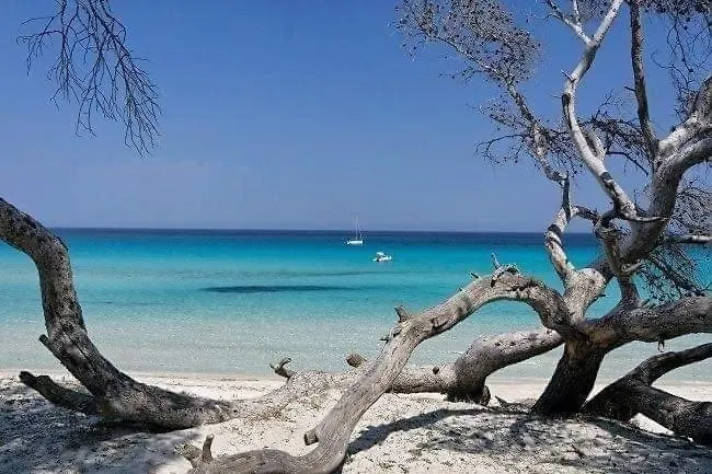 Apartman Coin Tranquille A 2km De Saint-florent